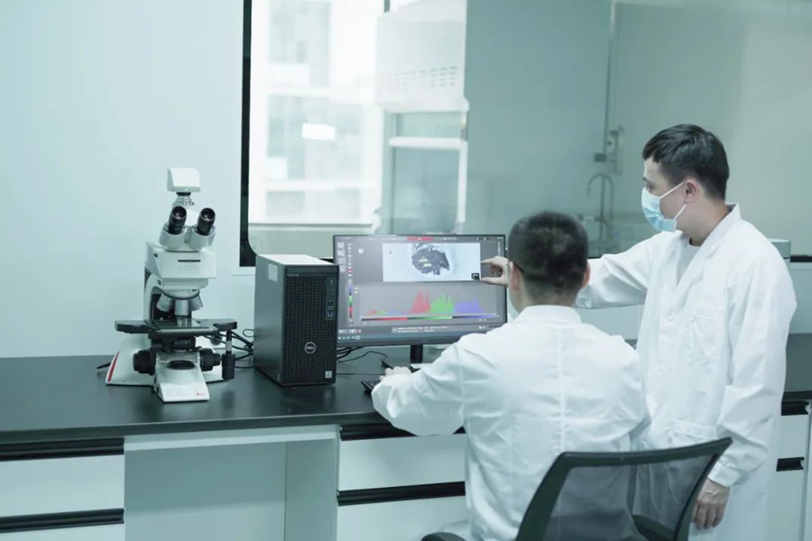 ��ҳ| ����(�й�����)�ٷ���վ