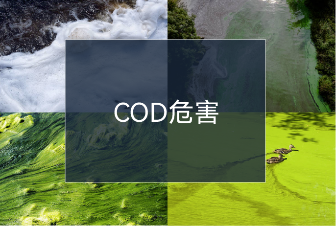 ��ҳ| ����(�й�����)�ٷ���վ