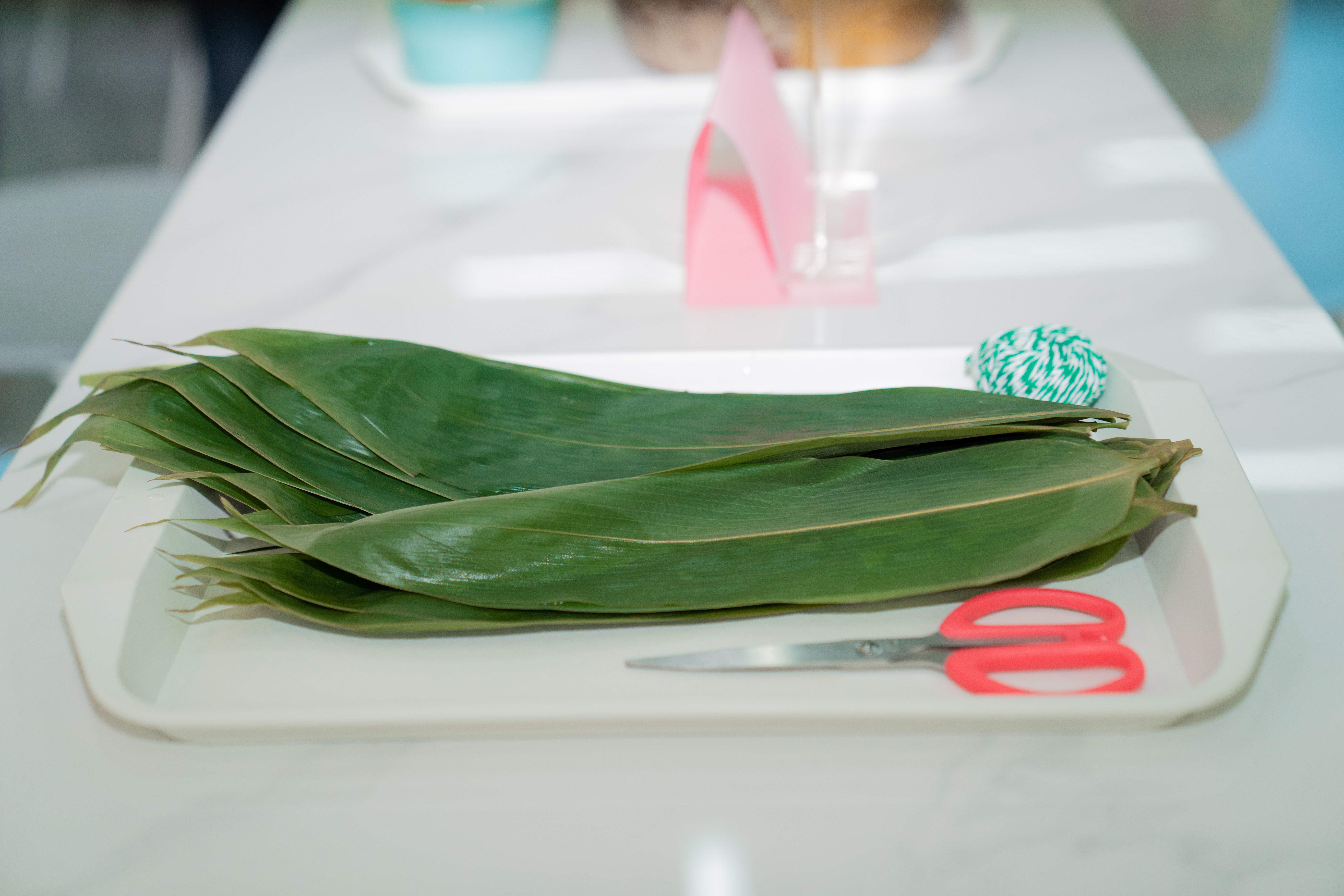 ��ҳ| ����(�й�����)�ٷ���վ