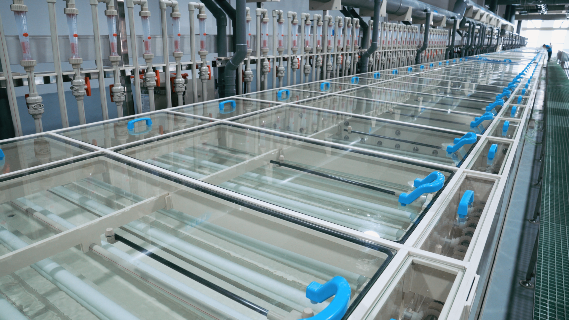 ��ҳ| ����(�й�����)�ٷ���վ