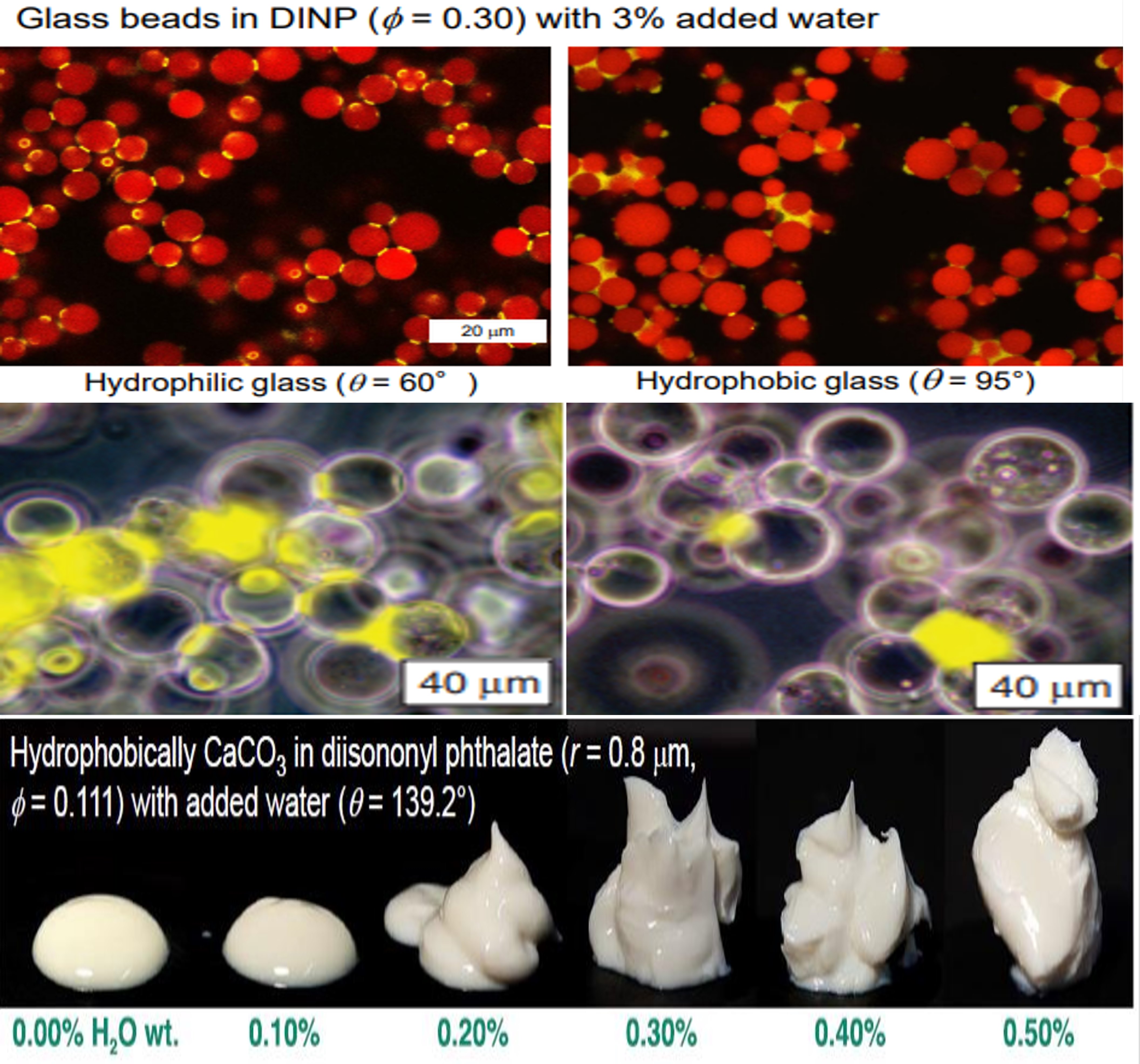 ��ҳ| ����(�й�����)�ٷ���վ